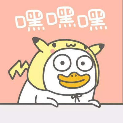 Xiaoliu Duck 3